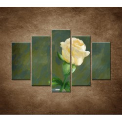 Obrazy na stenu - Maľovaná ruža - 5dielny 150x100cm