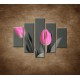 Obrazy na stenu - Ružové tulipány - 5dielny 100x80cm
