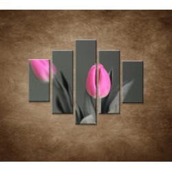 Obrazy na stenu - Ružové tulipány - 5dielny 100x80cm
