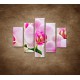 Obrazy na stenu - Ružová orchidea - 5dielny 100x80cm