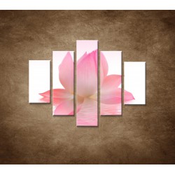 Obrazy na stenu - Lotosový kvet - 5dielny 100x80cm
