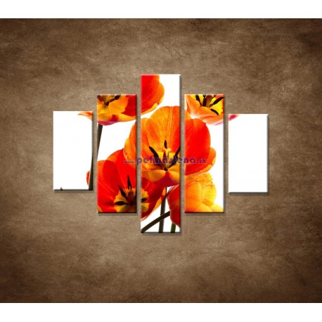 Obrazy na stenu - Oranžové tulipány - 5dielny 100x80cm