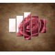 Obrazy na stenu - Ruža s rosou - 5dielny 100x80cm