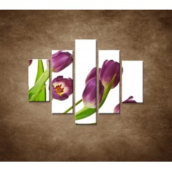 Obrazy na stenu - Fialové tulipány - 5dielny 100x80cm