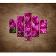 Obrazy na stenu - Krásne tulipány - 5dielny 100x80cm