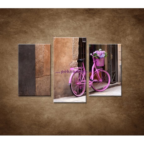 Obrazy na stenu - Ružový bicykel - 3dielny 75x50cm