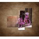 Obrazy na stenu - Ružový bicykel - 3dielny 110x90cm