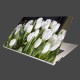 Nálepka na notebook - Biele tulipány