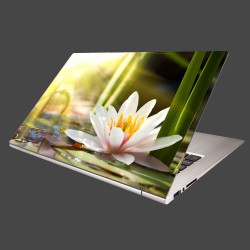 Nálepka na notebook - Lekno 