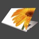 Nálepka na notebook - Oranžová gerbera 