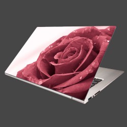 Nálepka na notebook - Ruža s rosou 