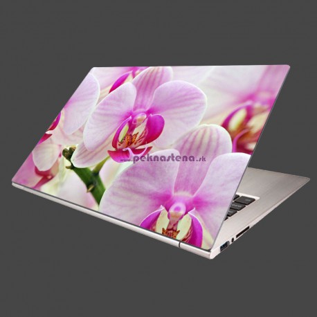 Nálepka na notebook - Ružová orchidea