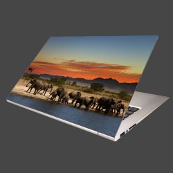 Nálepka na notebook - Safari