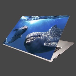 Nálepka na notebook - Delfíni pod vodou