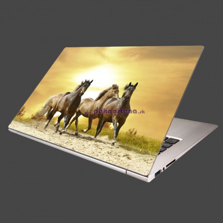 Nálepka na notebook - Divoké kone