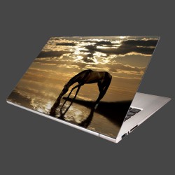 Nálepka na notebook - Kôň pri jazere