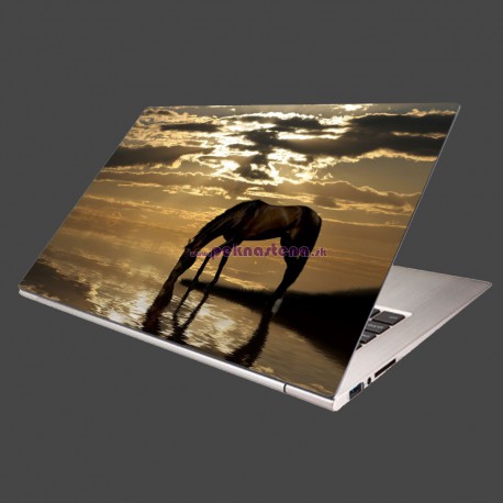 Nálepka na notebook - Kôň pri jazere