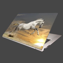 Nálepka na notebook - Kôň pri západe slnka