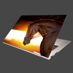 Nálepka na notebook - Kôň v stajni