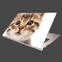 Nálepka na notebook - Mačiatko