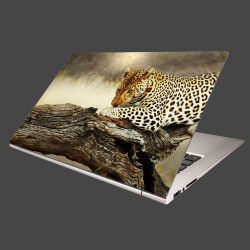 Nálepka na notebook - Odpočívajúci leopard