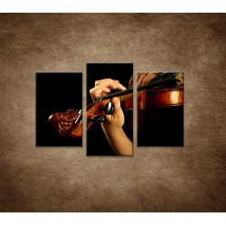 Obrazy na stenu - Hráč na husle - 3dielny 75x50cm