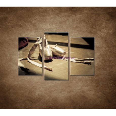 Obrazy na stenu - Baletná obuv - 3dielny 75x50cm