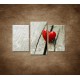 Obrazy na stenu - Červené srdiečko - 3dielny 75x50cm