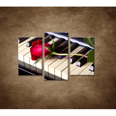 Obrazy na stenu - Ruža na klavíri - 3dielny 75x50cm