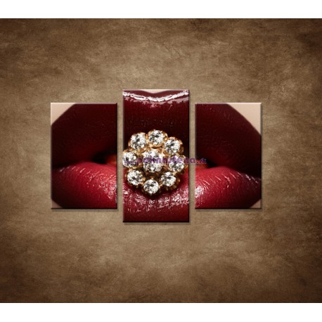 Obrazy na stenu - Diamant v ústach - 3dielny 75x50cm