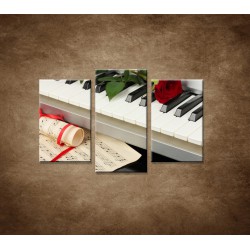 Obrazy na stneu - Piáno a ruža - 3dielny 75x50cm