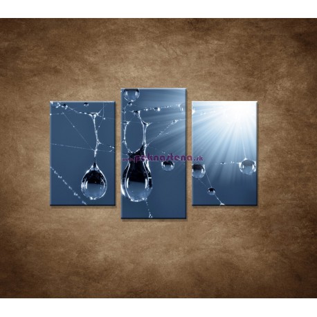 Obrazy na stenu - Makro - Kvapky rosy - 3dielny 75x50cm