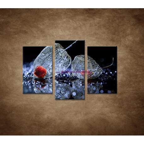 Obrazy na stenu - Makro - Machovka - 3dielny 75x50cm