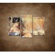 Obrazy na stenu - Maľovaná žena - 3dielny 75x50cm