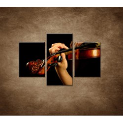 Obrazy na stenu - Hráč na husle - 3dielny 90x60cm