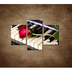 Obrazy na stenu - Ruža na klavíri - 3dielny 90x60cm