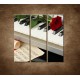 Obrazy na stenu - Piáno a ruža - 3dielny 90x90cm