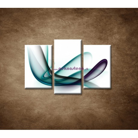 Obrazy na stenu - Elegantná špirála - 3dielny 75x50cm