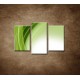 Obrazy na stenu - Zelený polkruh - 3dielny 75x50cm