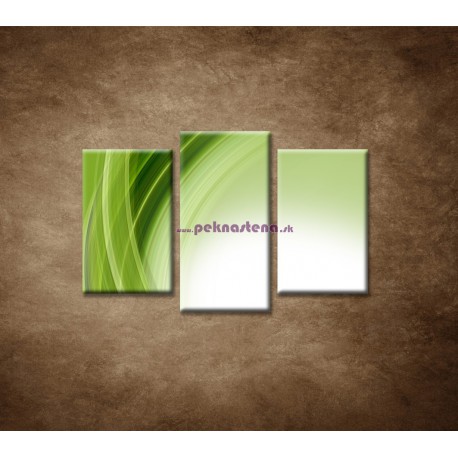Obrazy na stenu - Zelený polkruh - 3dielny 75x50cm