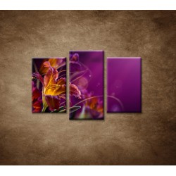 Obrazy na stenu - Fialové kvety - 3dielny 75x50cm