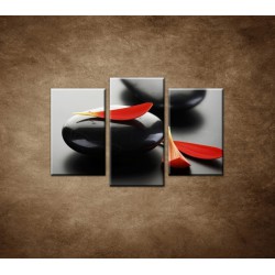 Obrazy na stenu - Čierny kameň s červeným lupeňom - 3dielny 75x50cm