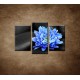 Obrazy na stenu - Modrý kvet na kameňoch - 3dielny 75x50cm