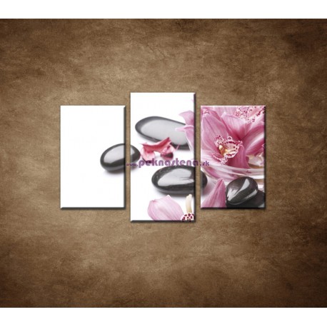 Obrazy na stenu - Kamene a kvety na bielom pozadí - 3dielny 75x50cm
