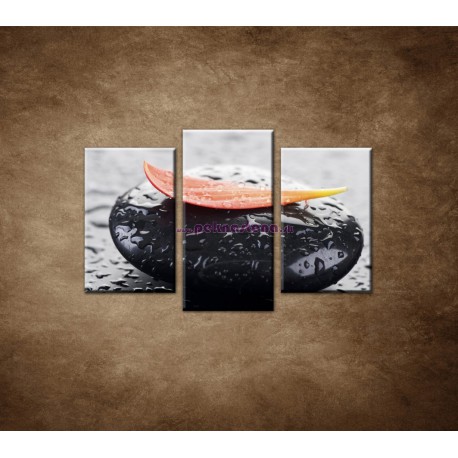 Obrazy na stenu - Kvapky rosy na kameni - 3dielny 75x50cm