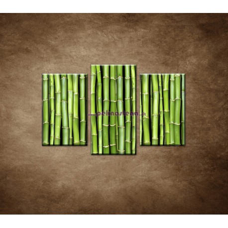 Obrazy na stenu - Bambus - 3dielny 75x50cm