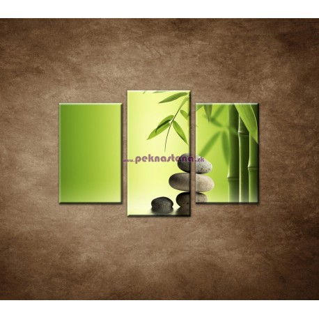 Obrazy na stenu - Bambus a kamene - 3dielny 75x50cm