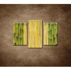 Obrazy na stenu - Bambusové stonky - 3dielny 75x50cm