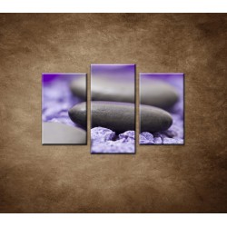 Obrazy na stenu - Kamene s fialovým kvetom - 3dielny 75x50cm