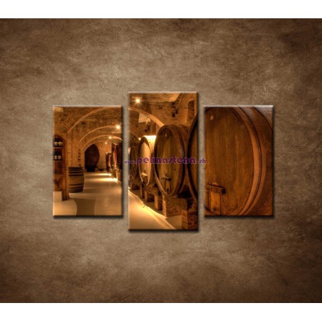 Obrazy na stenu - Vinárska pivnica - 3dielny 75x50cm